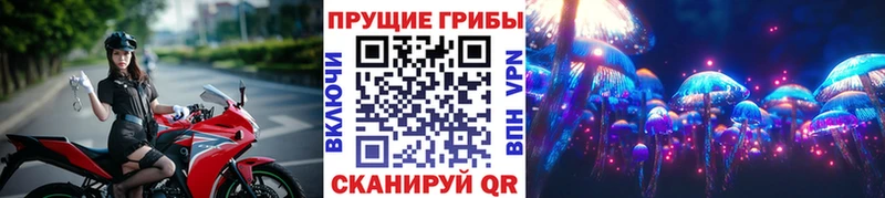 Псилоцибиновые грибы прущие грибы  Озёры 